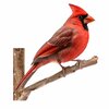 Next Innovations Peeking Cardinal 101156014